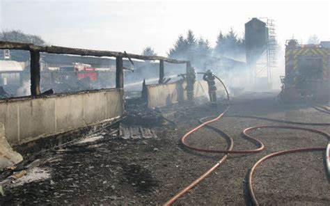 Incendie un poulailler part en fumée à Langoëlan Le Télégramme