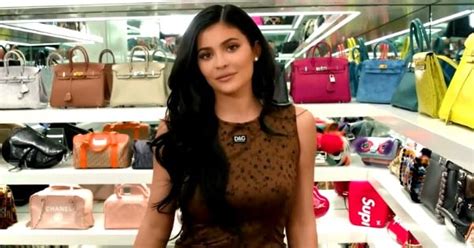 Kylie Jenner Purse Collection What Most People Missed In Viral Video