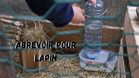 Abreuvoir Pour Lapin Facile Et Efficace YouTube