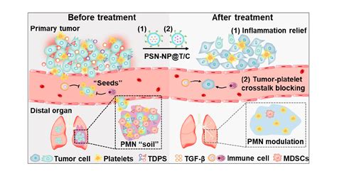 Targeted Inhibition Of Tumor Inflammation And Tumor Platelet Crosstalk