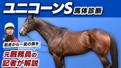 【ユニコーンs2023予想】未来のgi馬に相応しい好馬体！最も期待できるのはこの馬 競馬予想動画