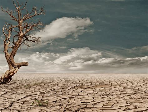 Suelos Sost N De La Vida Humana Secretar A De Medio Ambiente Y