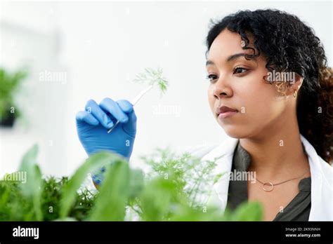 My Job Is To Study All Forms Of Plant Life A Female Scientist