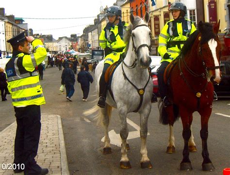 Speedie's Blog: Ballinasloe Horse Fair