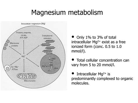 Nutrition (MINERALS AND TRACE ELEMENTS) | PPT