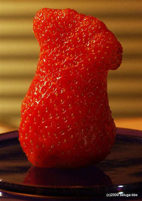 Neue Erdbeersorten überschwemmen den Markt - Friedberg