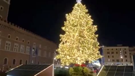 Natale A Roma Si Accendono Le Luci Dell Albero Green Di Piazza Venezia