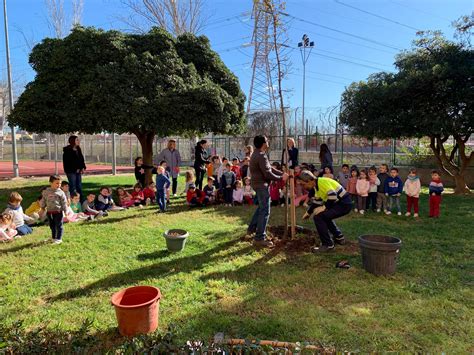 Dia de larbre CEIP MOLÍ D ANIMETA