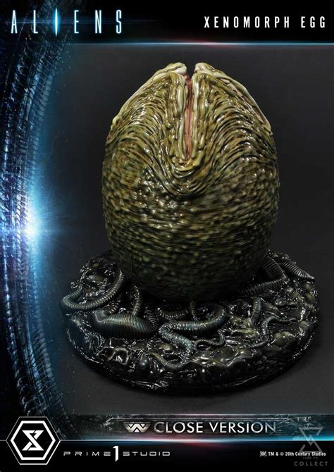 Xenomorph Egg – Close Version (Aliens Comics) – Time to collect