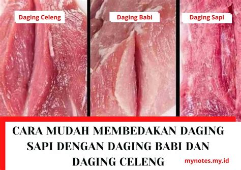 Cara Mudah Membedakan Daging Sapi Dengan Daging Babi Dan Daging Celeng