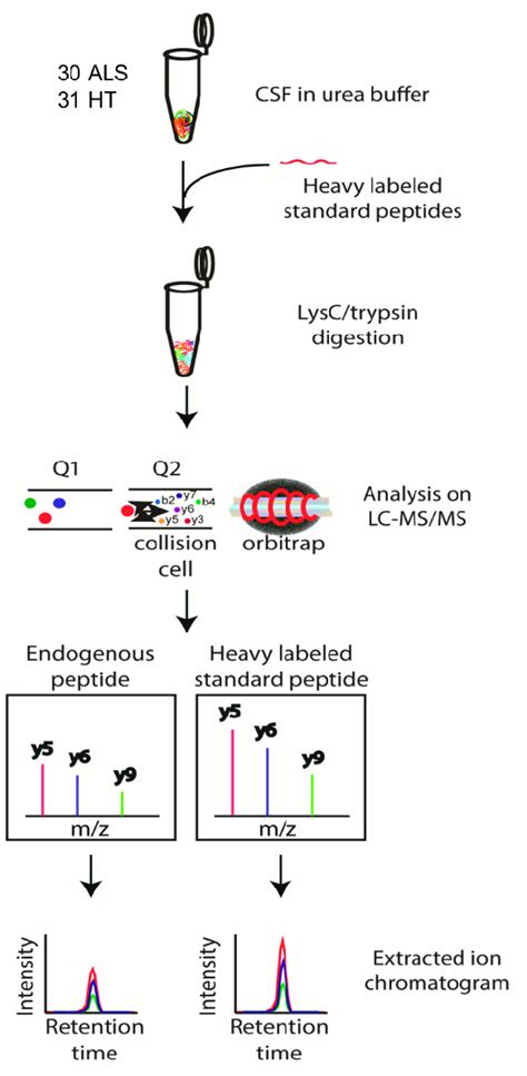 Schematic Workflow Of The Prm Analysis The Selected Candidate Als Download Scientific Diagram