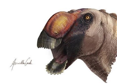 Identificada Una Extraña Nueva Especie De Dinosaurio ‘pico De Pato