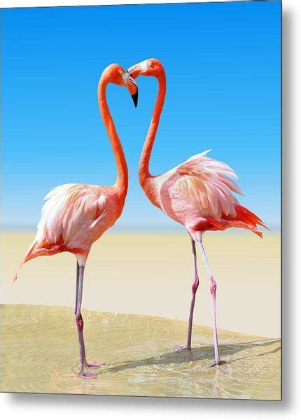 Just We Two Metal Print By Kristin Elmquist In 2021 Flamingo Art