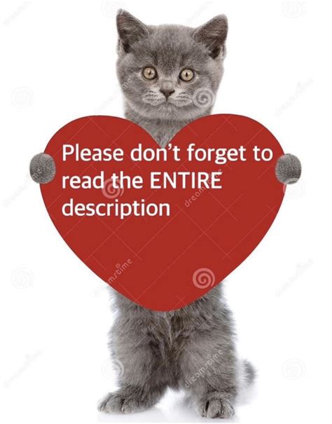 Red Silky Shiny Lace Sheer String Bikini Panties Womens NOS EBay