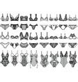 Collection Of Lingerie Body Royalty Free Vector Image