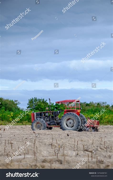 2 Plough Monday Images, Stock Photos & Vectors | Shutterstock