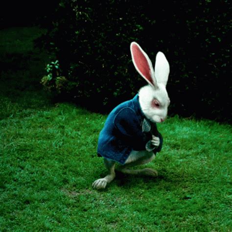 alice  wonderland gifs gifdbcom
