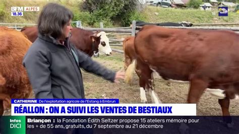 Hautes Alpes La Traditionnelle Foire Aux Bestiaux De R Allon Se Tient