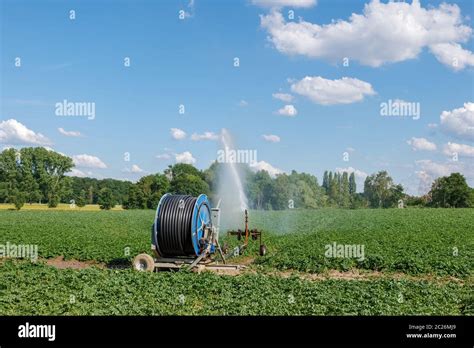 Irrigation Hose Reel Agricultural Travelling Irrigator Or Hose Reel