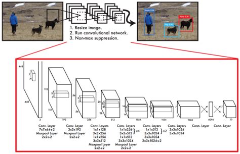 Object Detection YoLo You Only Look Once Unified Real Time Object