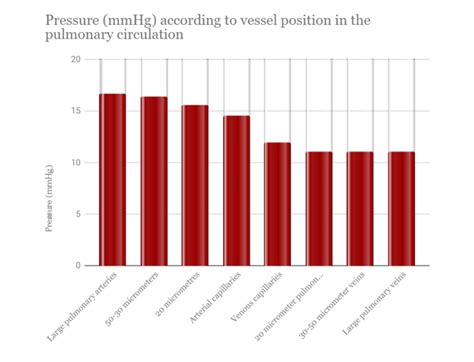 Physiological Characteristics Of Pulmonary Blood Vessels Deranged