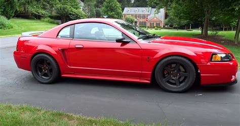 Video Quick Look At A Very Clean 1999 Ford Mustang Svt Cobra