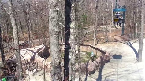 Skyride At Southwicks Zoo Mendon Ma Youtube