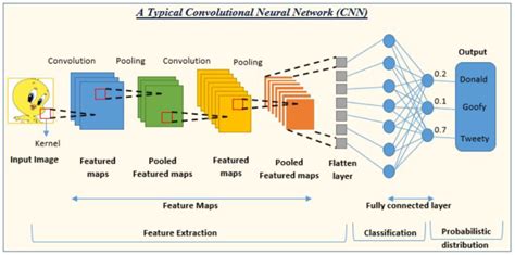 機械学習CNNを理解する初学者が押さえておきたいポイントを解説 DS Media by Tech Teacher