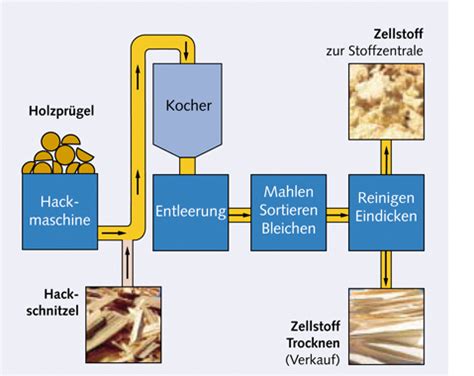 Papierherstellung Onlineschulungen Layer Chemie