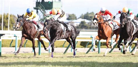 【阪神5r新馬】プッシュオンがv 松山「強い競馬をしてくれました」― スポニチ Sponichi Annex ギャンブル