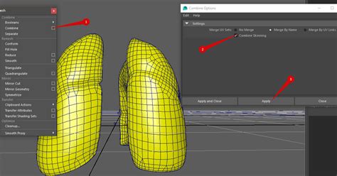 Mnexus Combine Skinned Mesh