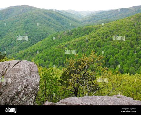 View of Blue Ridge Mountains, North Carolina, USA, North America Stock ...