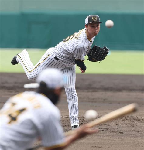 【阪神】浜地真澄「7回の男」正式指名「どんな場面でも」 新勝利の方程式は浜地→湯浅→岩崎 プロ野球写真ニュース 日刊スポーツ