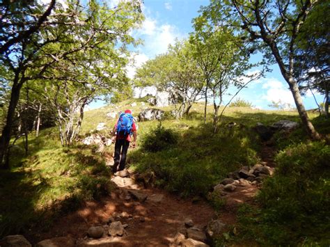 Felsenpfad Col De La Schlucht Frankenthal Le Hohneck Freiweg