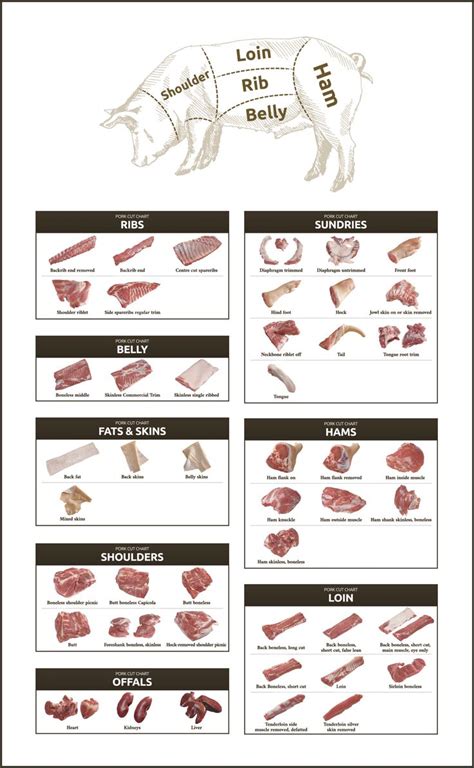 CanWorld Pork Cuts | Meat cuts chart, Cooking meat, Food infographic