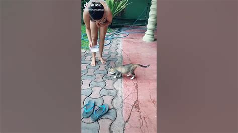 පියුමි හංසමාලි Piumi Hansamali Feeding My Pussy Cat Latest Tiktok 2020 Queen Piumi Youtube