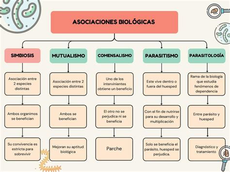 Asociaciones Biológicas Ana Cristina Vasquez Illesca medicvlogs uDocz