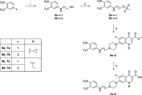 Scheme 2 Synthetic Strategy For The Synthesis Of Final Compounds 6a−6d