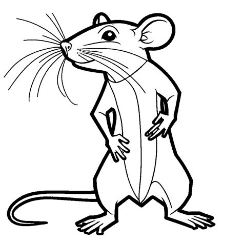 Rat standing up coloring page Lulu Pages