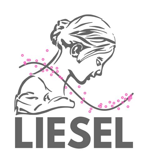 Liesel A Probabilistic Programming Framework For Developing Semi