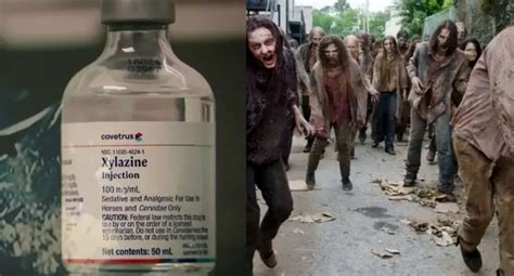 Has 'Zombie drug' Tranq arrived in Portland? Local residents seem to think so... - PDXFoodLove