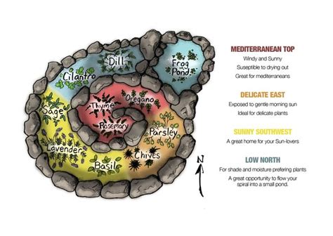 How To Build An Herb Spiral And What To Grow In It Herb Spiral