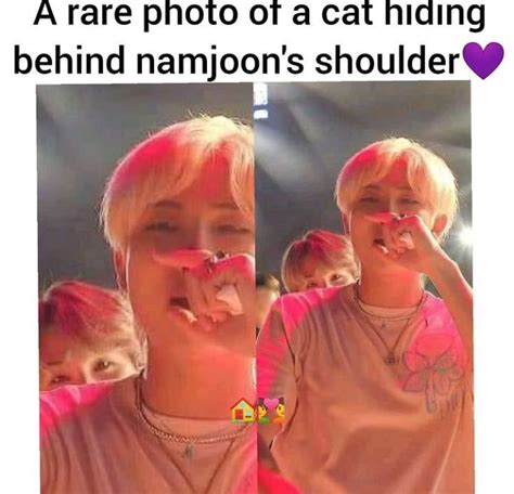 Pin By Sura On BTS Bts Memes Hilarious Bts Funny Bts Funny Videos