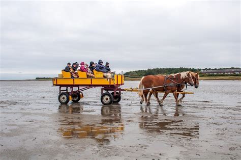 Visiting Wadden Sea National Park in Northern Germany