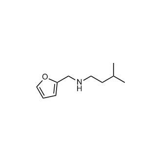 N Furan Ylmethyl Methylbutan Amine Chemscene Llc