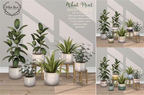 What Next House Plants For Fifty Linden Friday Sims Sims Cc