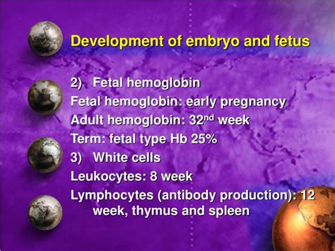 Ppt Physiology Of Pregnancy Powerpoint Presentation Id588657