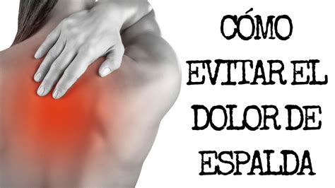 C Mo Evitar El Dolor De Espalda Trucos Y Consejos Curiosfera