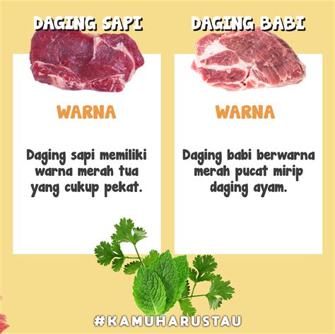 Cara Membedakan Daging Sapi Dan Daging Babi Indozoneid