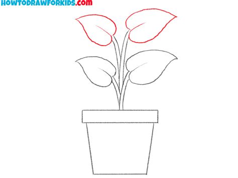 How To Draw A Plant Easy Drawing Tutorial For Kids